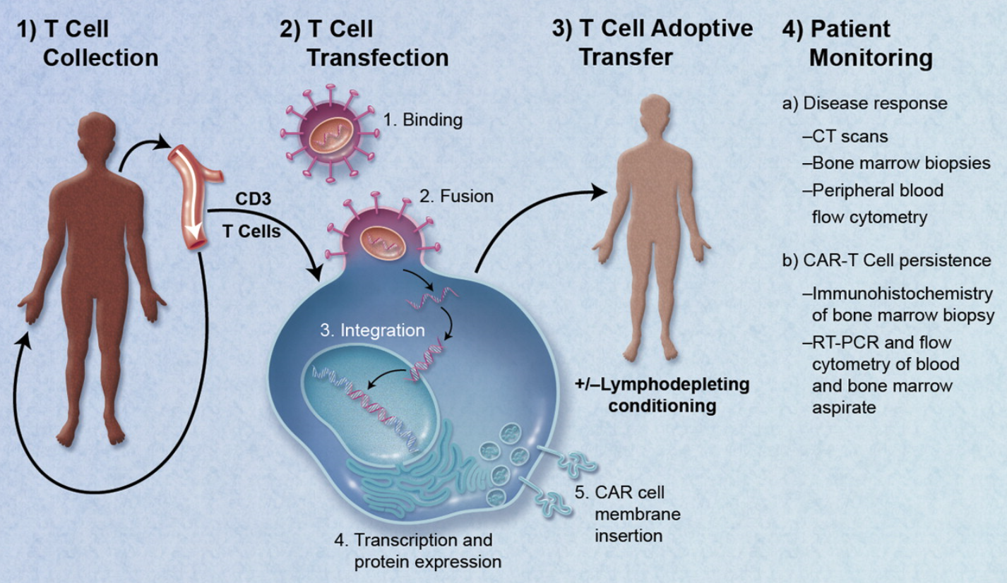 Stem Cell Therapy